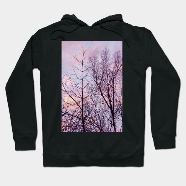 Barren trees ~ evening sky Hoodie by LaurieMinor